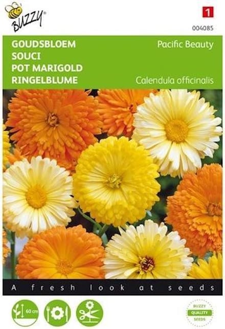Goudsbloem Pacific Beauty - Calendula officinalis
