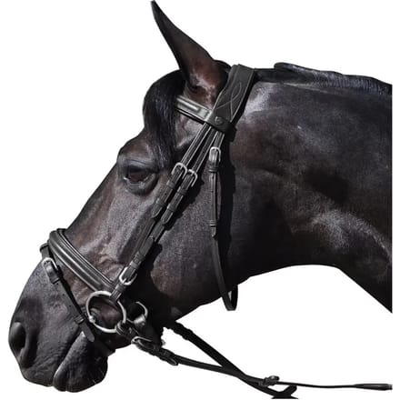 Hoofdstellen Flags&Cup Hickstead