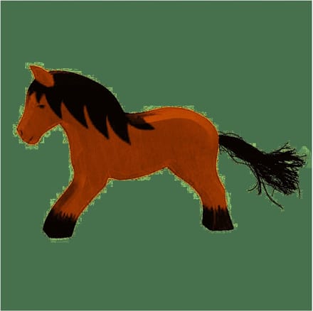 Ostheimer koudbloed paard 11118