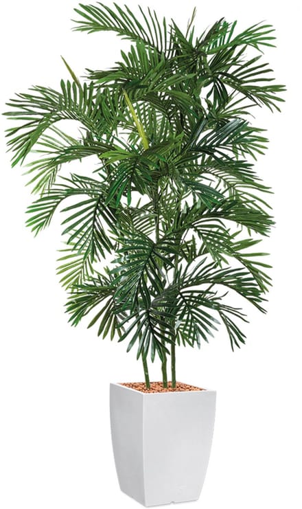 Kunstplant Areca palm in Genesis vierkant wit H190 cm