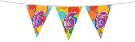 Haza Vlaggenlijn 6 jaar - 10 meter - plastic - 6e verjaardag versiering - leeftijd slinger
