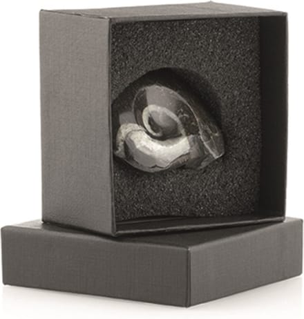 Giftdoosje Goniatiet