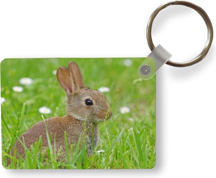 Sleutelhanger - Konijn - Bloemen - Gras - Uitdeelcadeautjes - Plastic