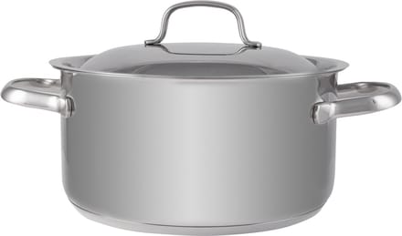 Daily Kookpot Met Deksel D20xh10cm Roestvrij Staal 3l