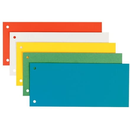 Leitz Scheidingsblad 16796099 25 stuks/pak Karton (dun) Afmeting, breedte:240 mm Afmeting, hoogte:105 mm Oranje, Wit, Blauw, Groen, Geel 25 stuk(s)