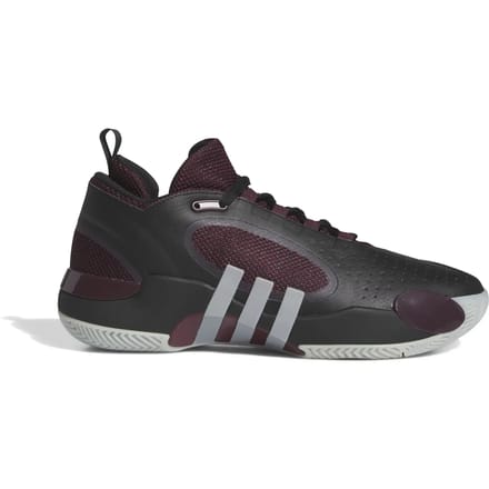 Basketbalschoenen adidas D.O.N. Issue 5