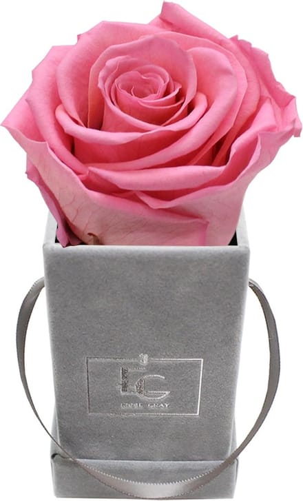 Eeuwig Rozen in Luxe Vierkante Fluweel Doos, Rozen Box met Lange Houdbaarheid
