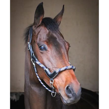 Reis halster voor paard Jump'In Collection One