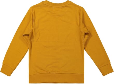 DJ Dutchjeans Jongens Sweater Go Away Camel