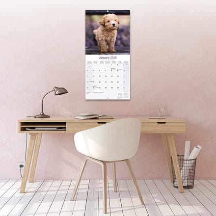Poedel Toy en Miniatuur Kalender 2026