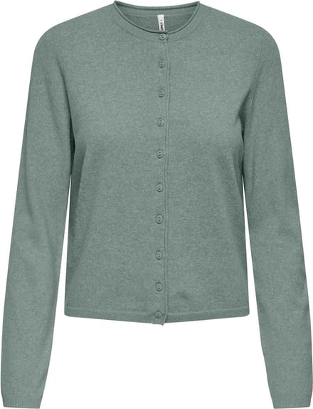 ONLY Vest ONLLOYAL Vest