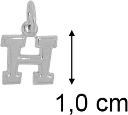 Hanger - Zilver - Letter H - B121H