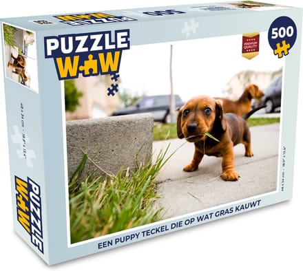 Puzzel Een puppy Teckel die op wat gras kauwt - Legpuzzel - Puzzel 500 stukjes