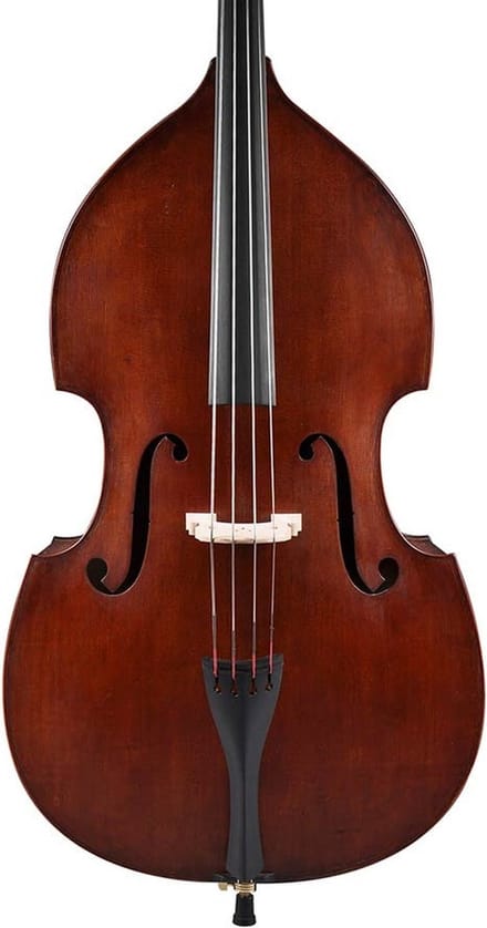 Rudolph RB-212-G contrabas 1/2, triplex, spiritus lak, ebben toets, gamba model