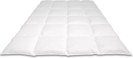 Cassenz VAN GOGH | donzen dekbed | 90% ganzendons | Winter Plus | warmteklasse 1 - 140/220cm - 880g 4x6  2 cm steg