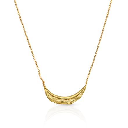 Schitterende 18K Gold Plated Zilveren Halsketting met Blad