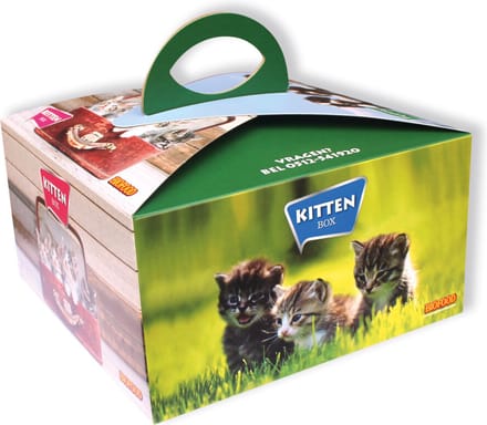 BF Petfood Kittenpakket