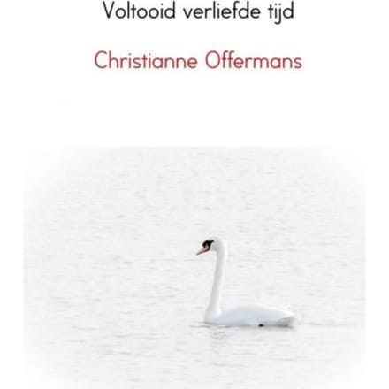 Voltooid Verliefde Tijd - Christianne Offermans