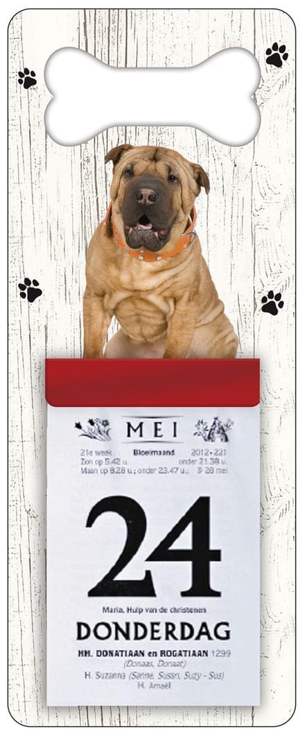 Scheurkalender 2027 Hond: Shar Pei