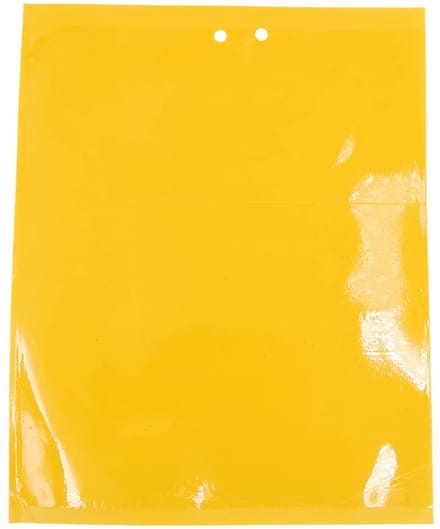 Allecto - Gele Fruitvliegenval - 20Pcs Sticky Vallen - Voor het