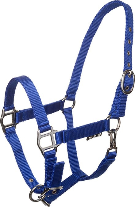 MHS Nylon Halter Economy blue size 4