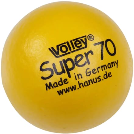 Lichtgewicht bal Volley Super
