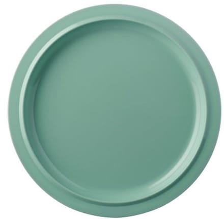 Mepal Plat bord Basic P250 - Retro green - campingservies