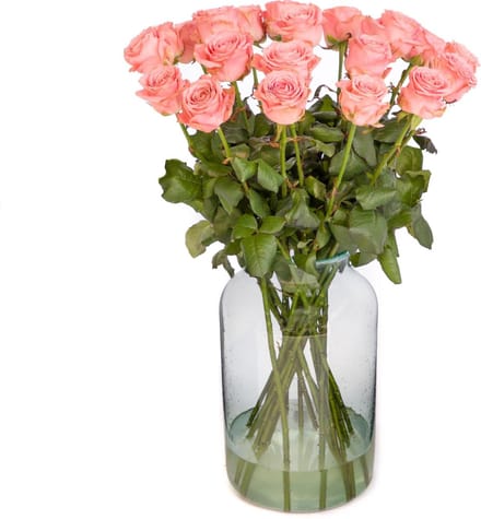 Roze Rozen XL (Vanaf 10 stuks)