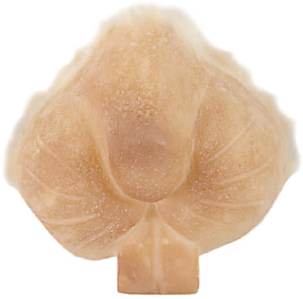 Grimas - Latex Snuit - Konijn - 310