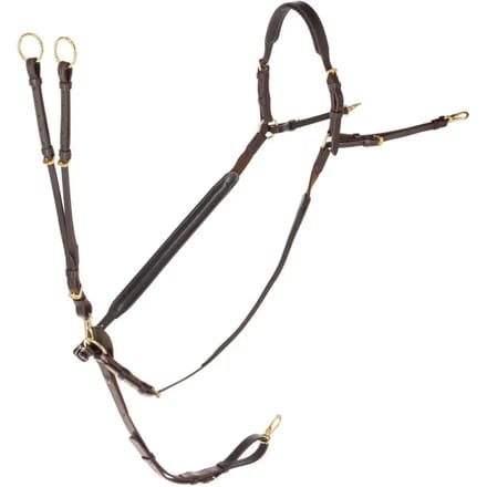 Martingale met ringen Covalliero