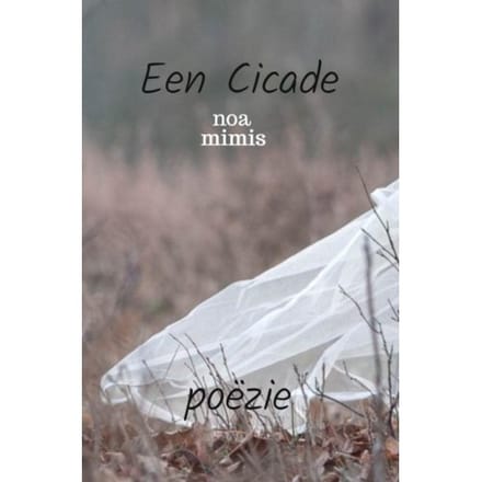 Een Cicade - Noa Mimis