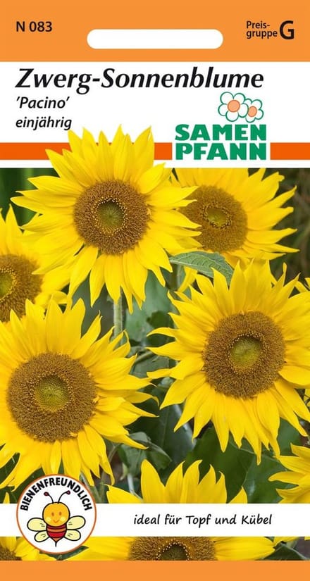 Zonnebloem, dwergzonnebloem, Pacino - bloemzaden, zonnebloemzaden