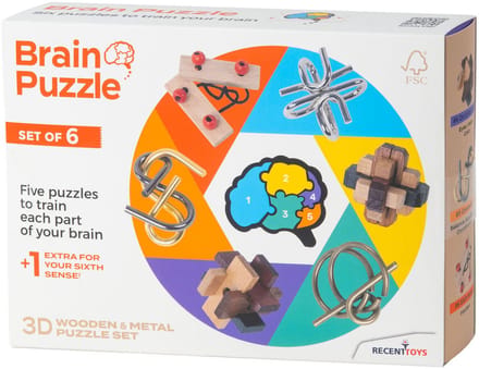 Recent Toys Brainpuzzel Set van 6.