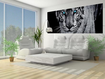 Tiger Animal Photo Wallcovering