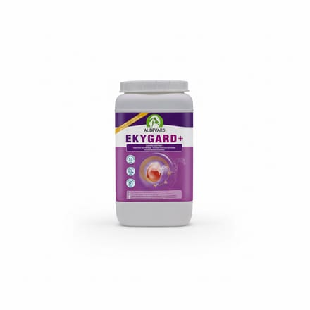 Audevard Ekygard + 2.4kg