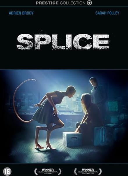 Splice