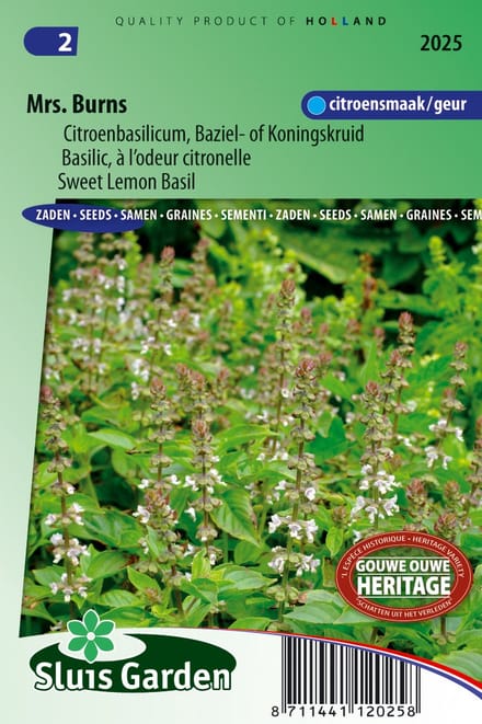 Sluis Garden - Basilicum Citroen Mrs. Burns (Ocimum Citriodorum)