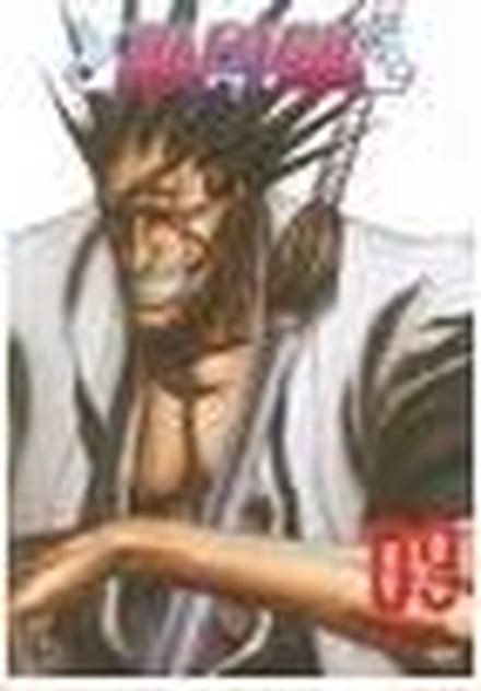 Bleach Vol 9 The Substitute