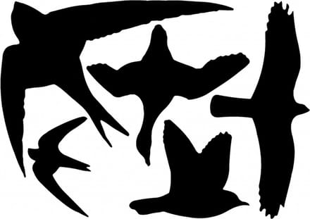 Vogels zwart silouette raam stickers 33 x 23 cm set van 5x stuks