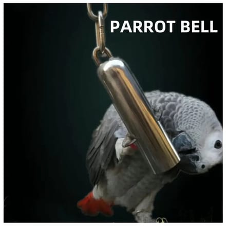 @ Lu’s Today® - Basic Pets Play Essentials – Papegaaienbel – RVS Speelbel – 8 × 1,7 cm – Inclusief 18 cm Ketting – Vogel Speelgoed