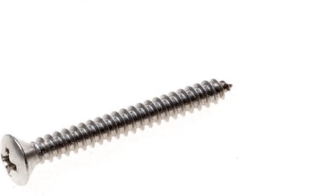 Kelfort Plaatschroef lenskop phillips RVS A2 2.9 x 19mm