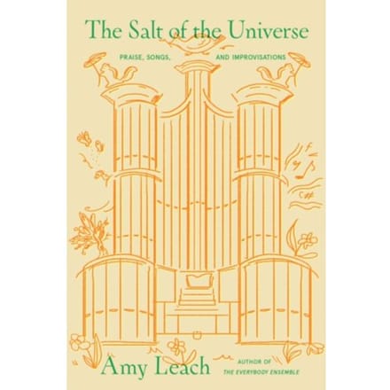 The Salt Of The Universe - Leach, Amy