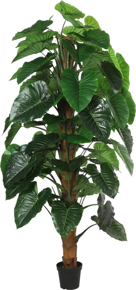 Countryfield kunstplant Monstera L