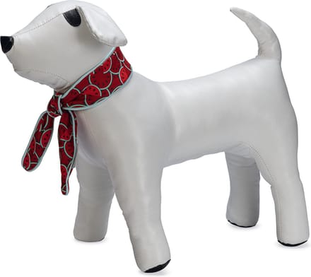 Beeztees Quick Cooler Meloenie Hondenhalsband - Rood - M