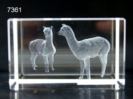 3D Lasergravure Alpaca’s in Glasblokje – 8 x 5 x 5 cm – Inclusief Geschenkverpakking