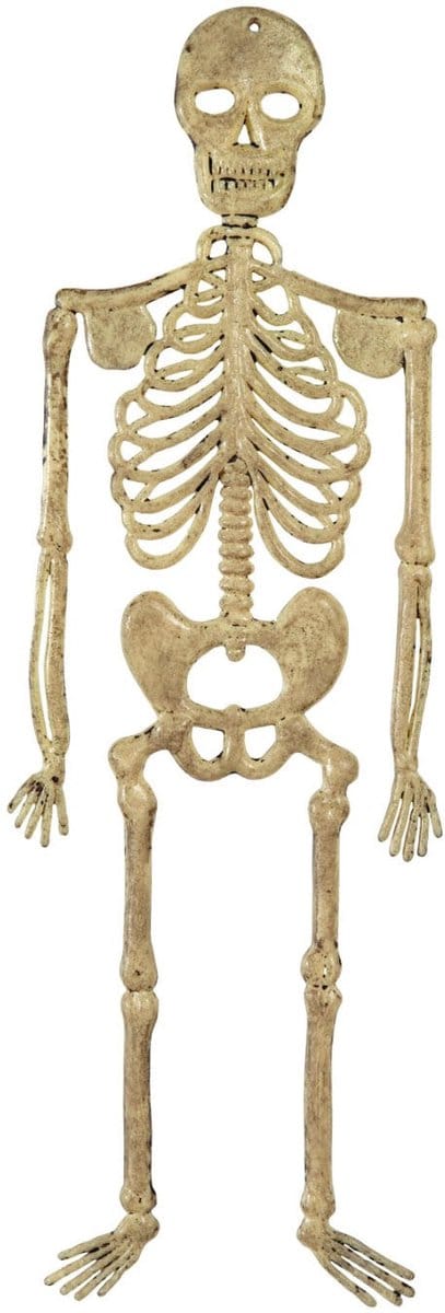 Skelet Benny decoratief