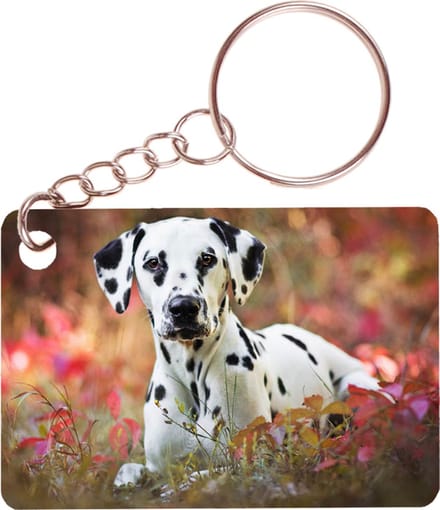 Sleutelhanger 6x4cm - Dalmatier Liggend