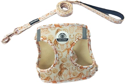 Cavlicious® AirMesh hondentuigje met leiband set - kleine hond - Texas - M