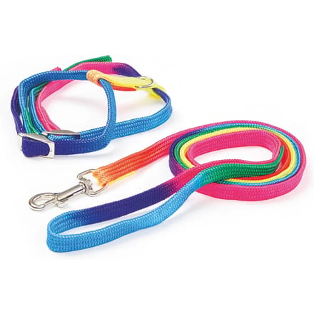 Kattentuigje met riem Kerbl Rainbow (x1)