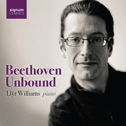 Beethoven Unbound - David Zinman